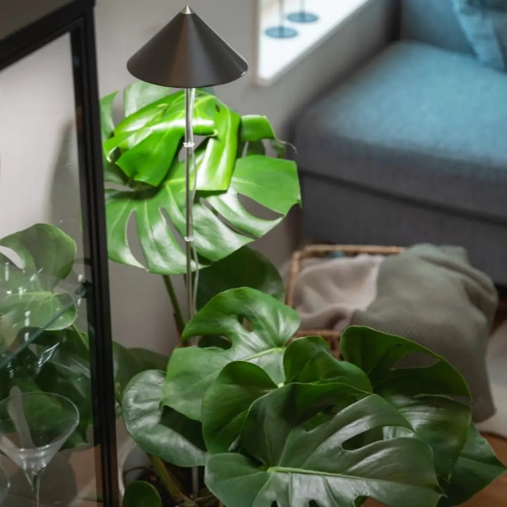 Växtarmatur SUNLiTE XL Olivträdsbutiken