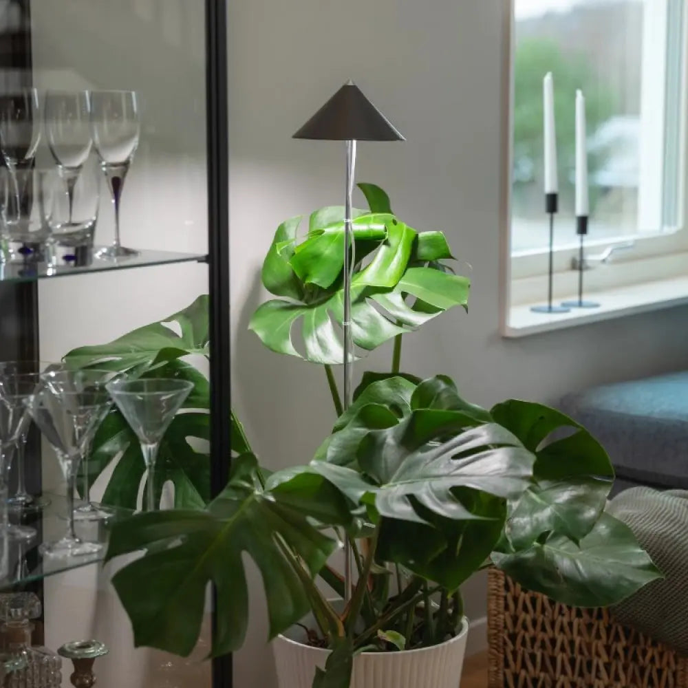 Växtarmatur SUNLiTE XL Olivträdsbutiken
