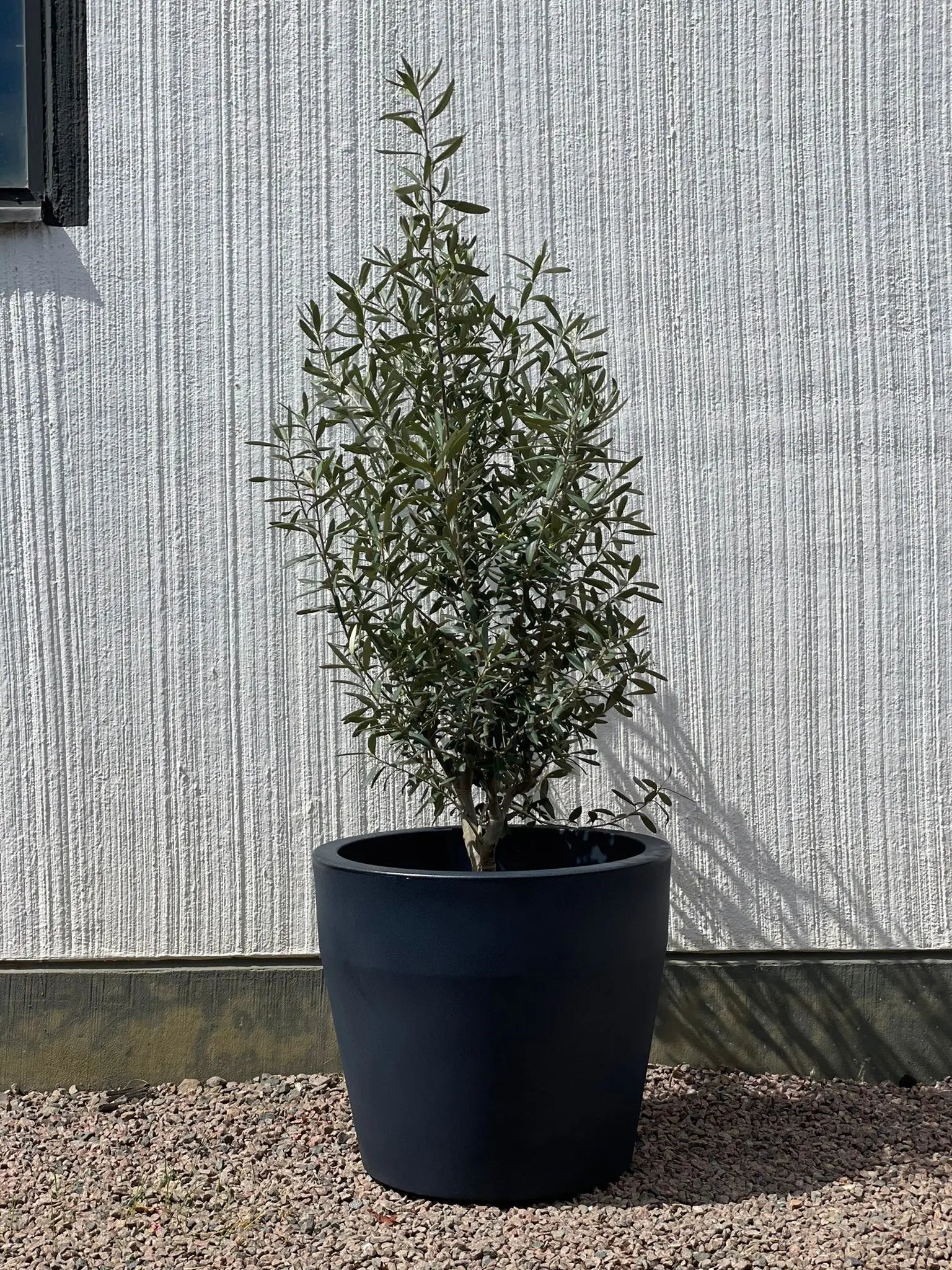 Kruka Acquario Round, ⌀ 58 cm Olivträdsbutiken