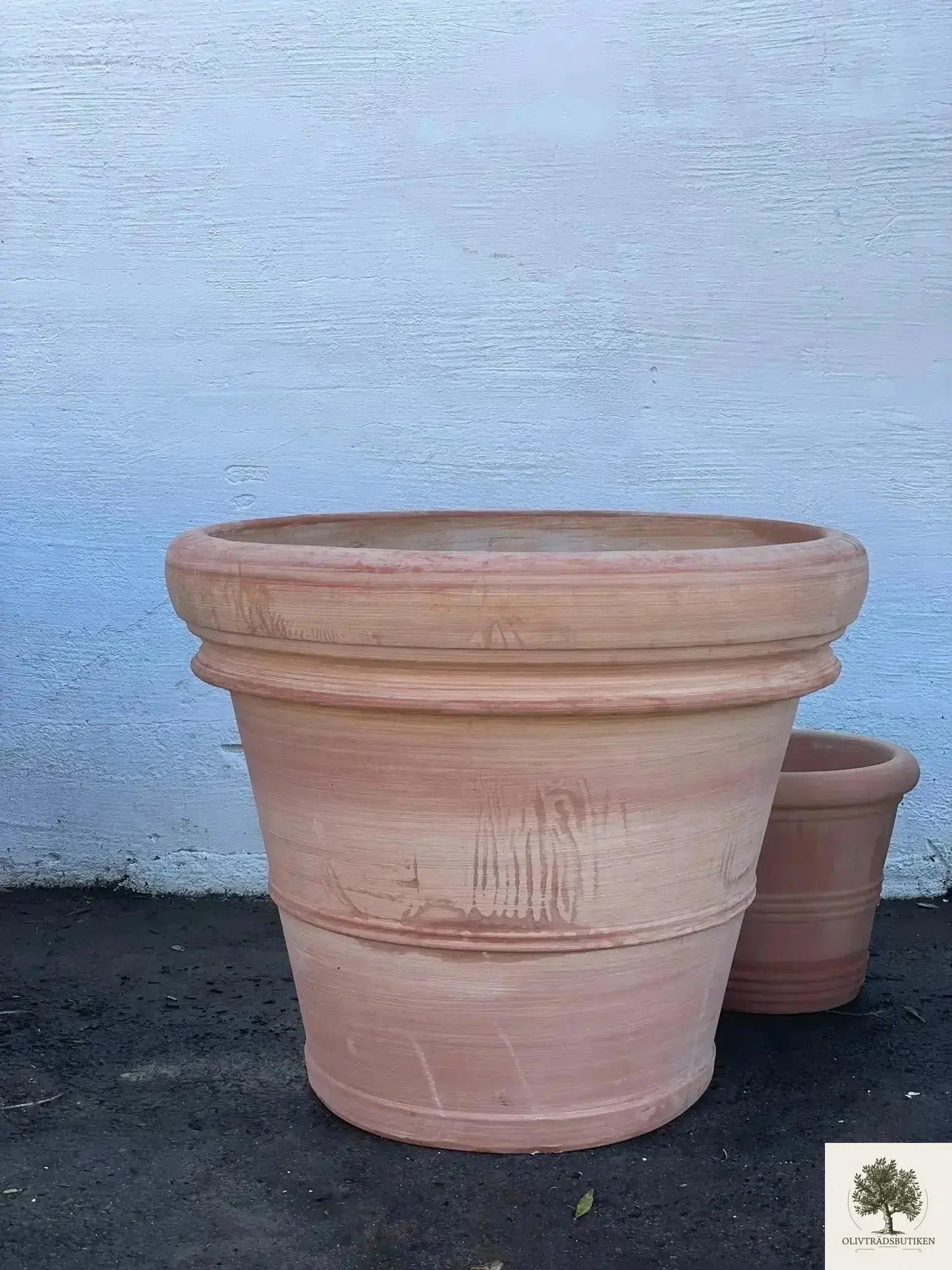 Kruka Terrakotta - Toscana -  50 cm diameter - 41 cm höjd Olivträdsbutiken
