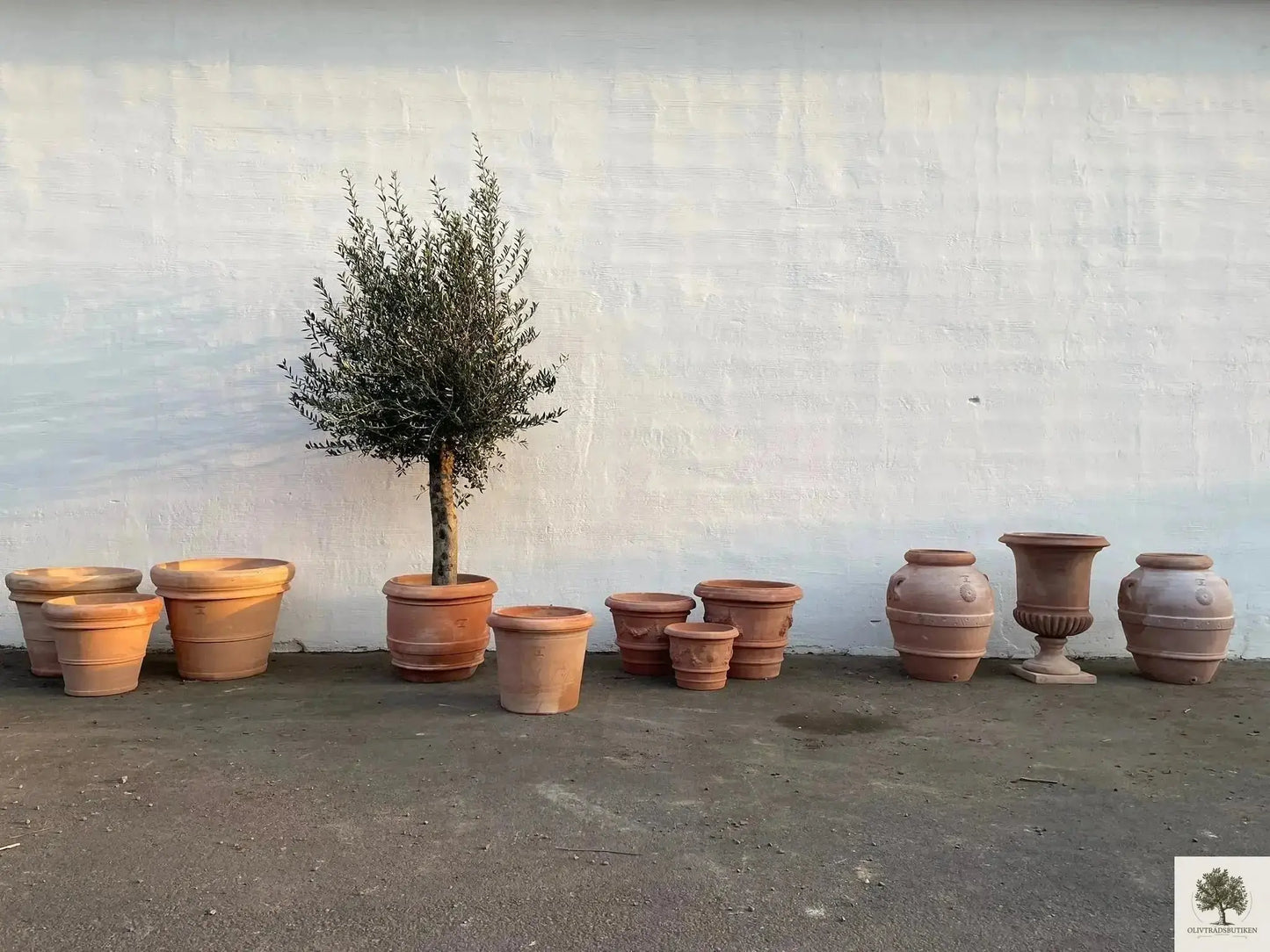 Kruka Terrakotta Grå - Toscana -  60 cm diameter - 50 cm höjd Olivträdsbutiken