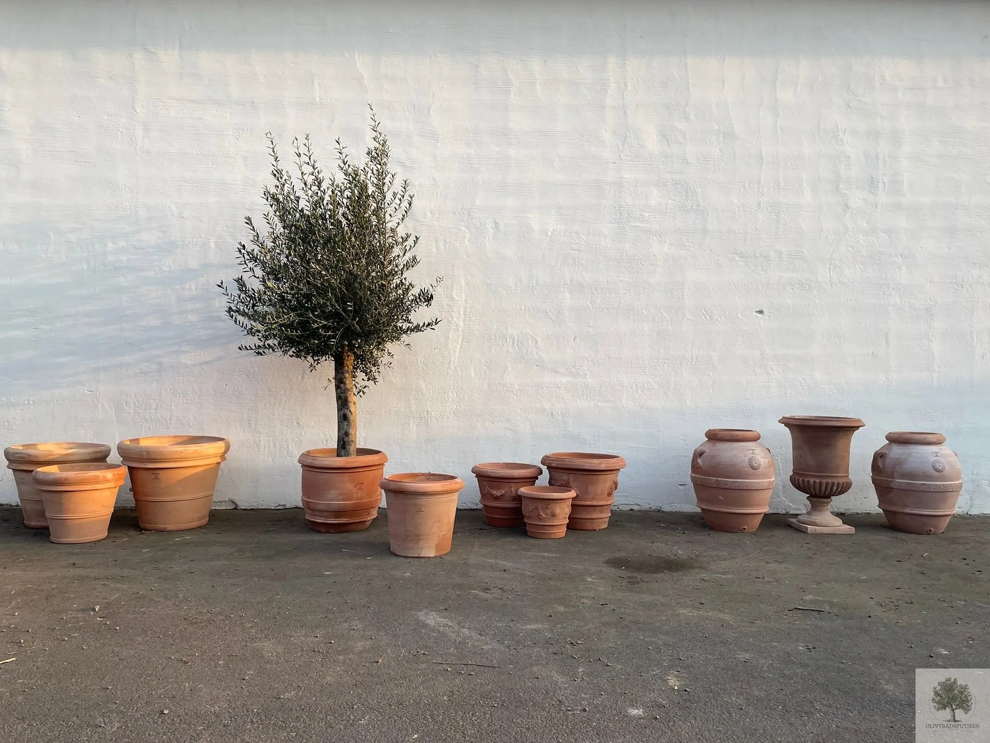 Terracottakruka - Toscana - 100 cm diameter - 82 cm höjd Olivträdsbutiken