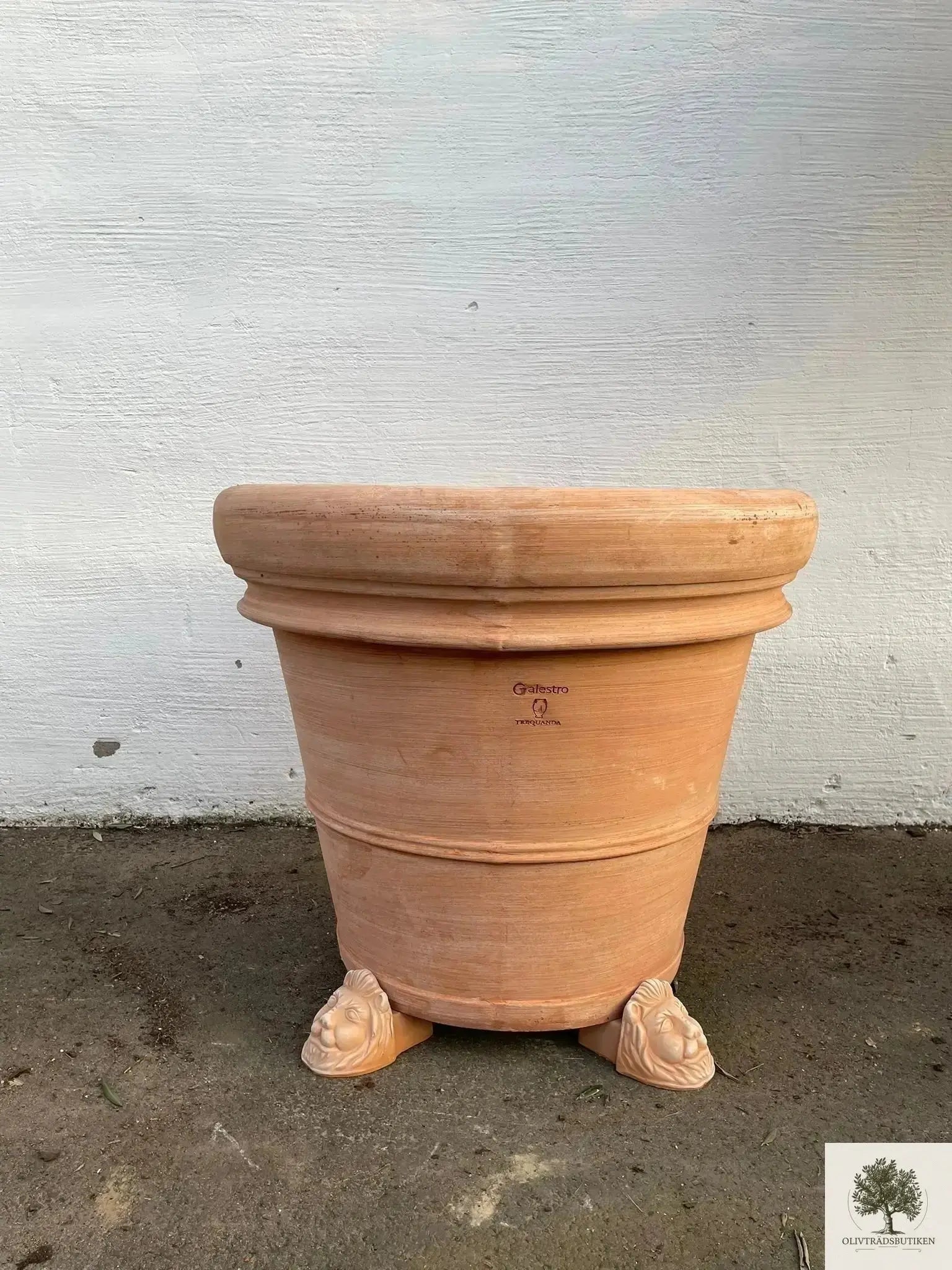 Kruka Terrakotta Grå - Toscana -  60 cm diameter - 50 cm höjd Olivträdsbutiken