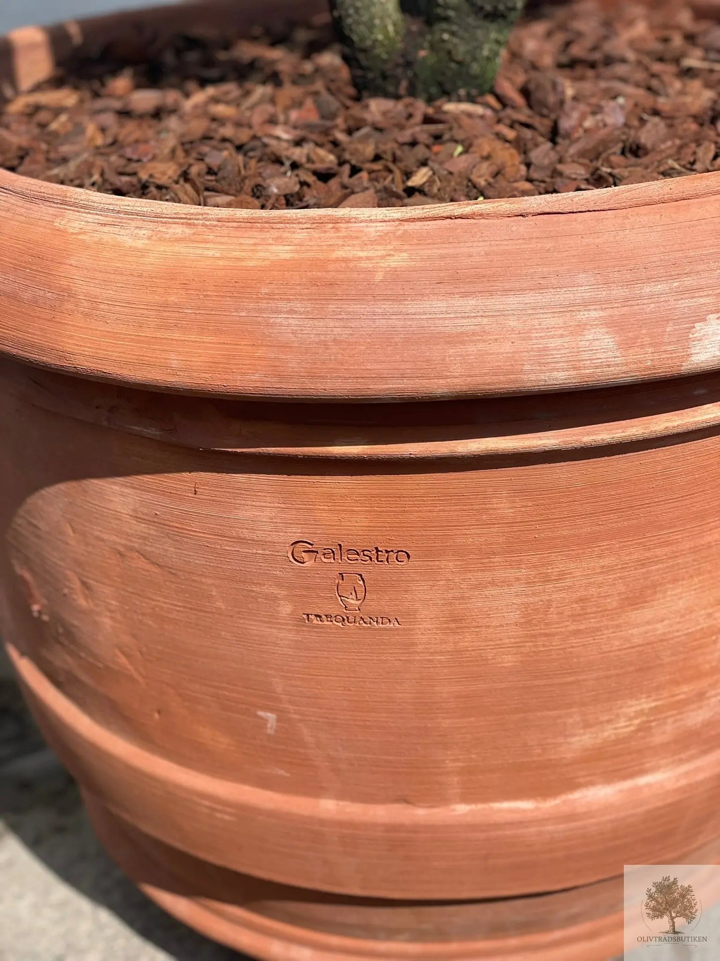 Terrakottakruka - Barile Liscio - 60 cm diameter - 51 cm höjd Olivträdsbutiken