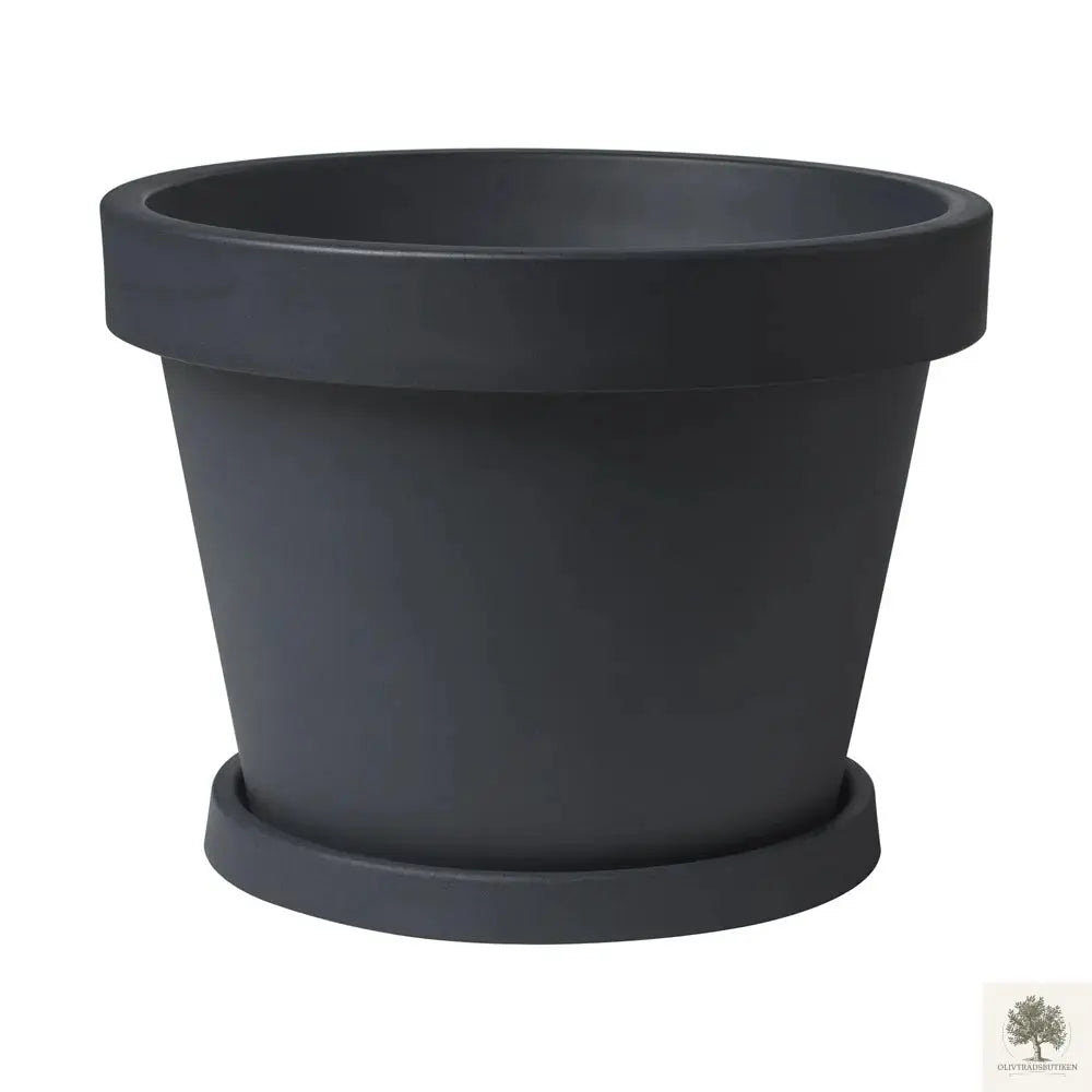 Stor Kruka Lira - Diameter 55 cm Olivträdsbutiken