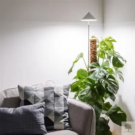 Växtarmatur SUNLiTE XL Olivträdsbutiken