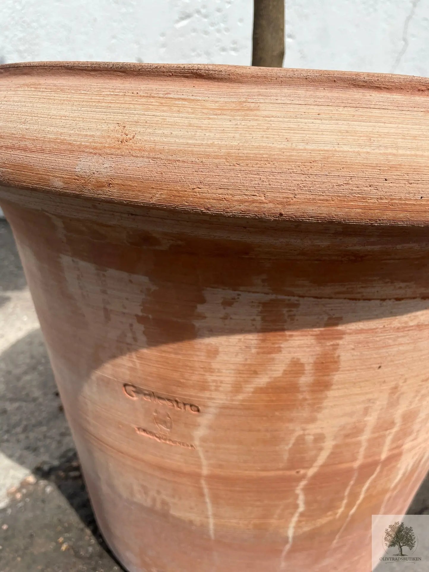 Kruka Terrakotta - Milano -  50 cm diameter - 41 cm höjd Olivträdsbutiken