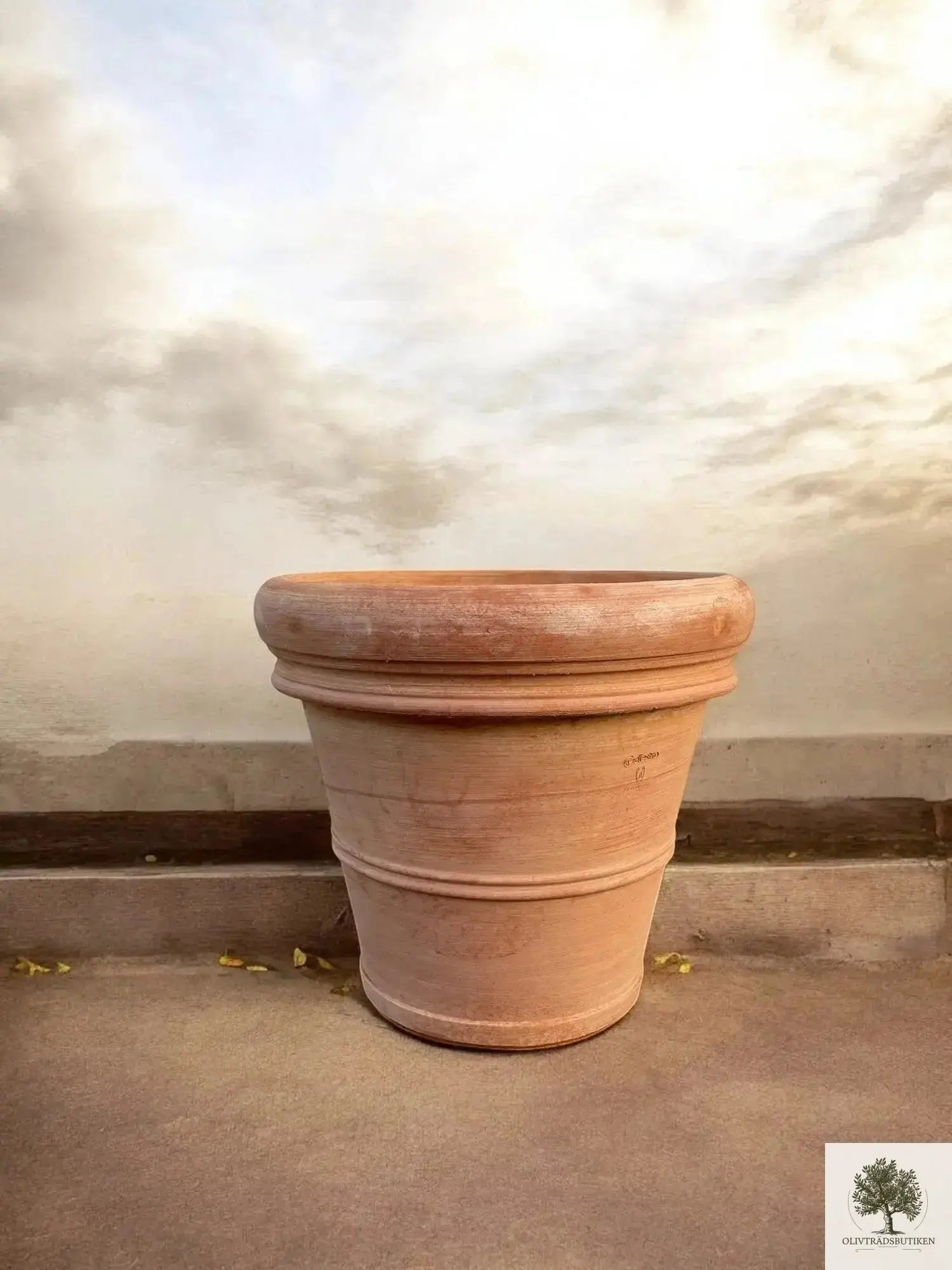 Kruka Terrakotta Grå - Toscana -  60 cm diameter - 50 cm höjd Olivträdsbutiken