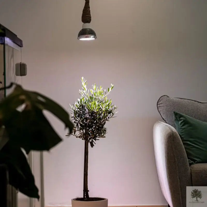 Växtlampa Inomhus 18W, 60 grader Olivträdsbutiken