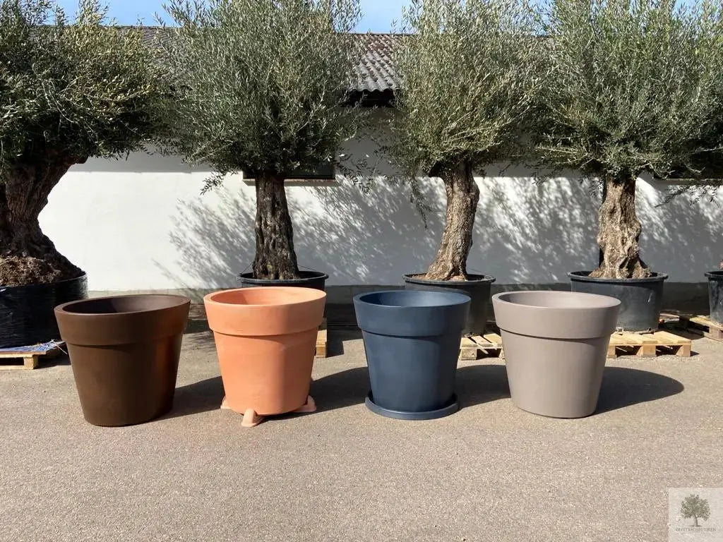 Stor Kruka Lira Elite - ⌀ 100 cm Olivträdsbutiken
